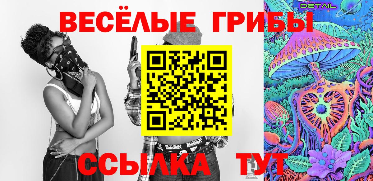 где купить наркотик  Псилоцибиновые грибы прущие грибы  Вход с VPN  Армавир  Галлюциногенные грибы Magic Shrooms 