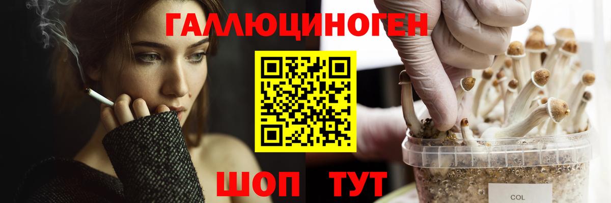 Псилоцибиновые грибы мухоморы Армавир